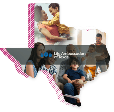 Texas Benchmark Initiative